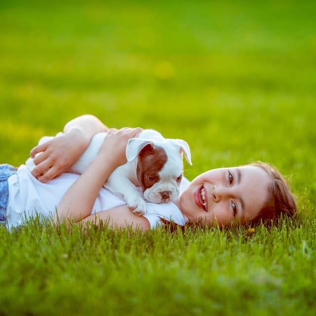 Nature's Harmony for Dogs: Ambient Music for Serene Moments - Smoothe Sounds