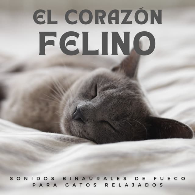 El Corazón Felino: Sonidos Binaurales De Fuego Para Gatos Relajados - Fuego Ambiental