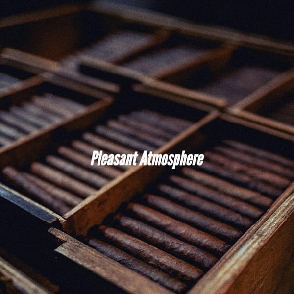 Pleasant Atmosphere - Jazz Rilassante Classici