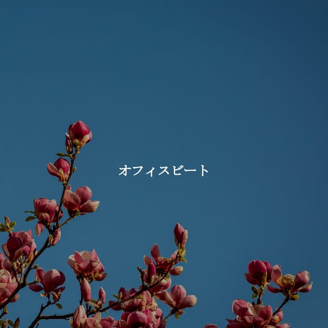 Música para Hoteles Lujo