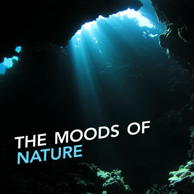 The Moods of Nature - Relaxing and Healing Sounds of Nature