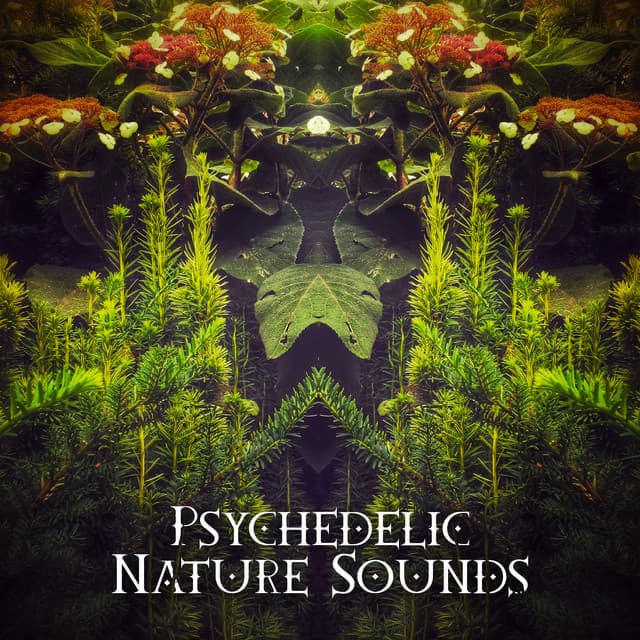 Psychedelic Elemental Harmony - Jenn Wontherne