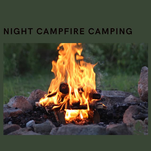 Night Campfire Camping - Campfire & Fireplace