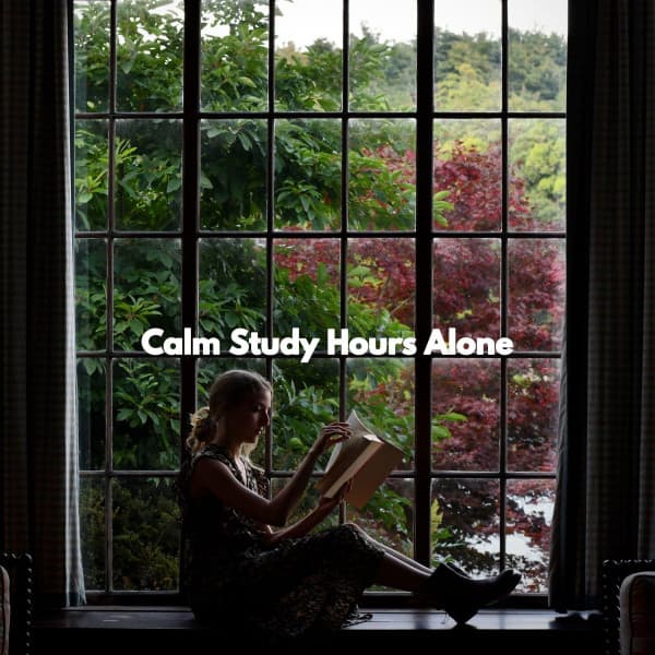 Calm Study Hours Alone - Work from Home Playlist