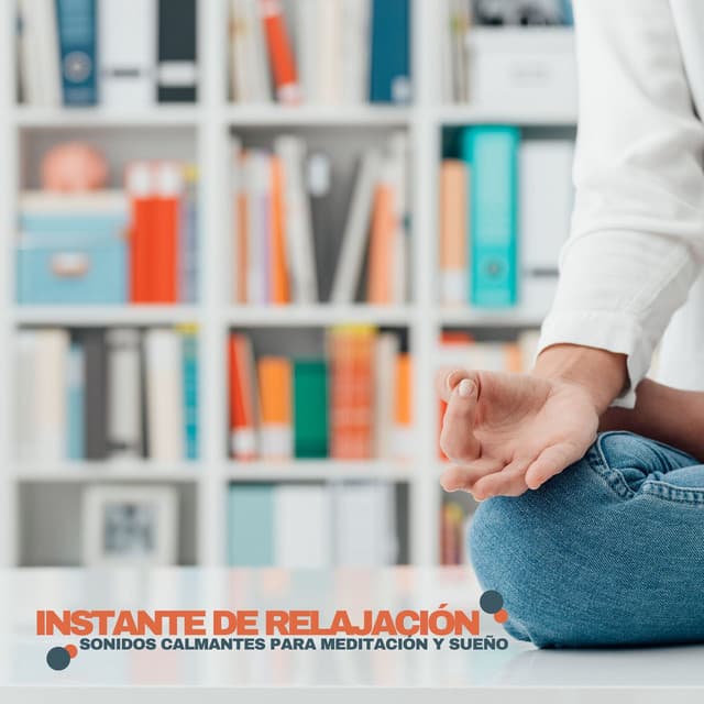 Instante de Relajación: Sonidos Calmantes para Meditación y Sueño - Musica de Relajación Academy