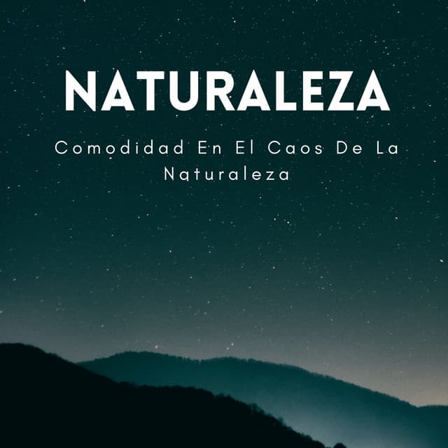 Comodidad En El Caos De La Naturaleza - Ruidos de la Naturaleza