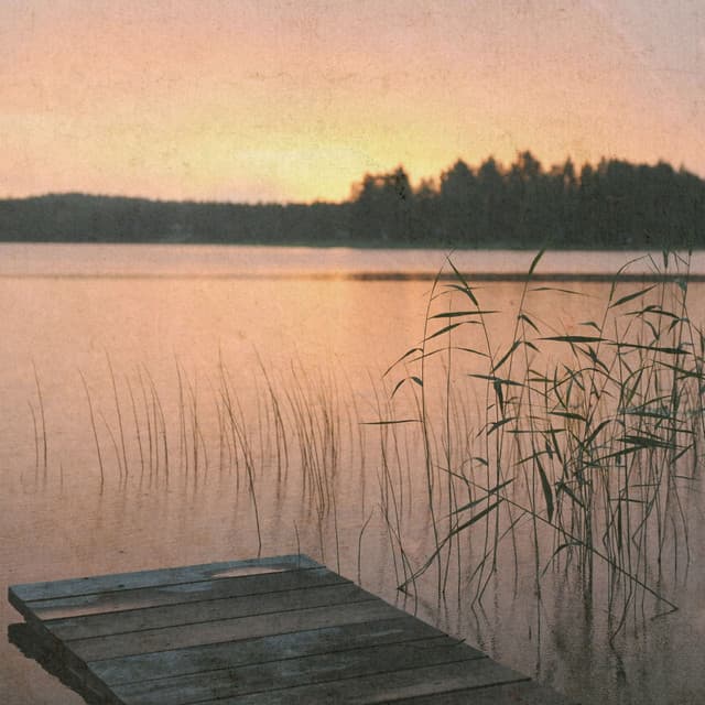 Whispers of Classical Peace - Johann Sebastian Bach