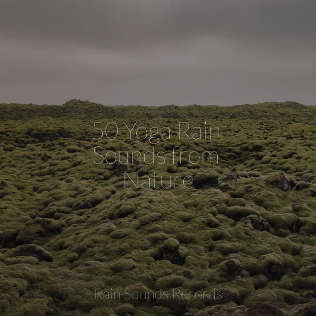 50 Yoga Rain Sounds from Nature - Relaxation