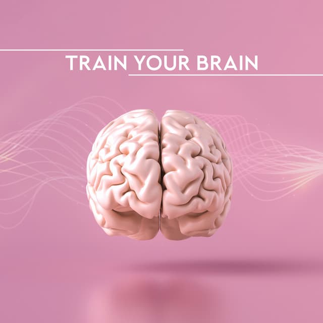 Train Your Brain - Keith Path