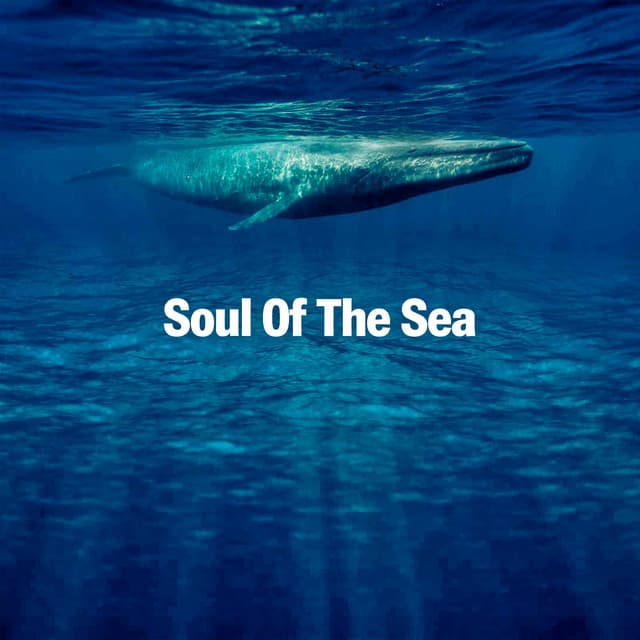 Soul Of The Sea - Rhodium Music