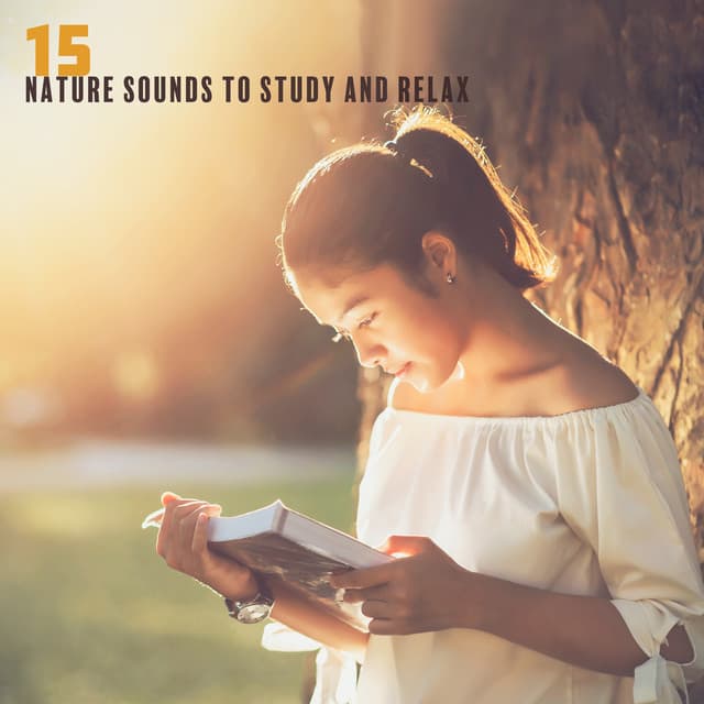 15 Nature Sounds to Study and Relax for Restless and Hyperactive Minds - Mothers Nature Music Academy