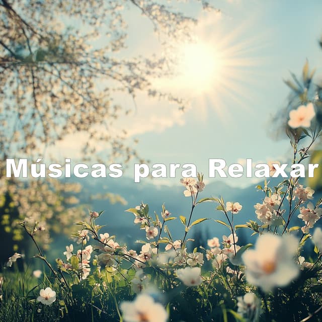 ! ! ! CalmaPaz - Músicas Para Relaxar