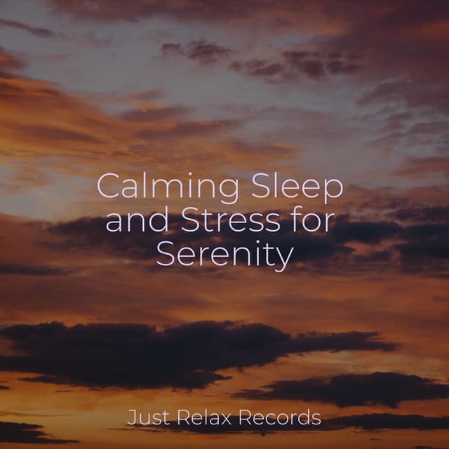Calming Sleep and Stress for Serenity - Relaxing Mindfulness Meditation Relaxation Maestro