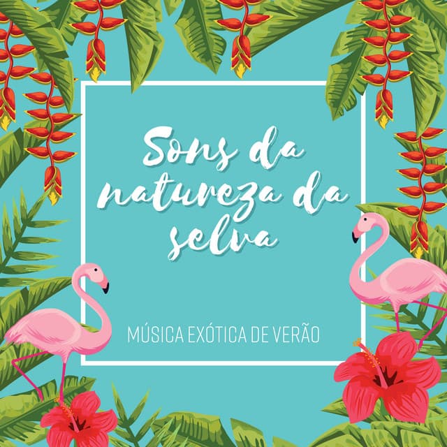Sons da natureza da selva - Música exótica de verão, Ilha tropical - Academia Sons da Natureza