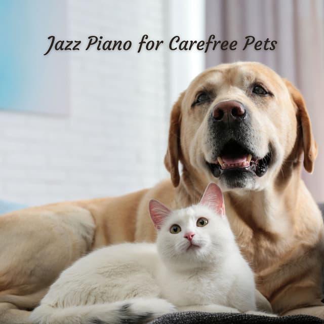 Jazz Piano for Carefree Pets - Piano Animal