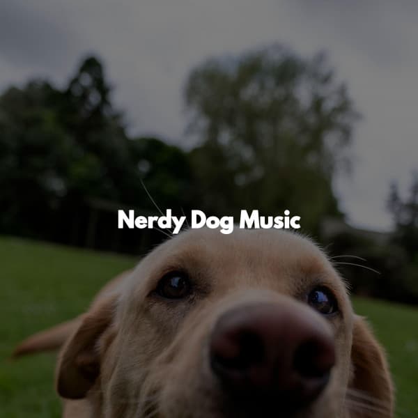 Nerdy Dog Music - Sunday Morning Jazz Lounge