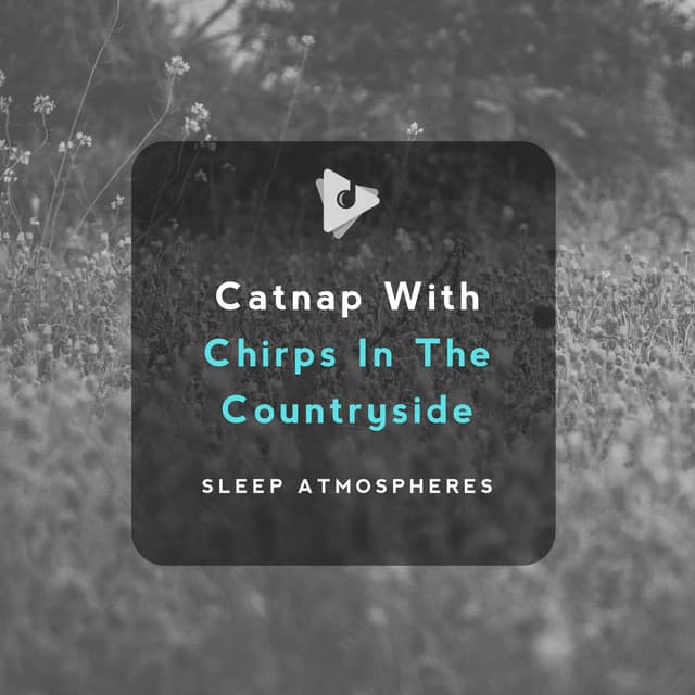 Catnap With Chirps In The Countryside - Sleep Atmospheres