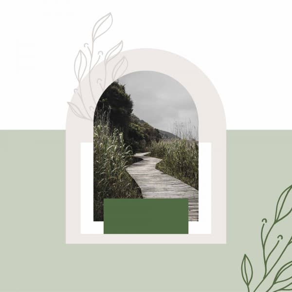 Feelings for Enjoying Nature - Chill Music for Reading