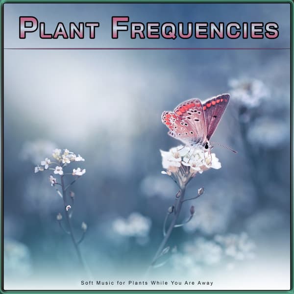 Plant Frequencies: Soft Music for Plants While You Are Away - Music for Plants