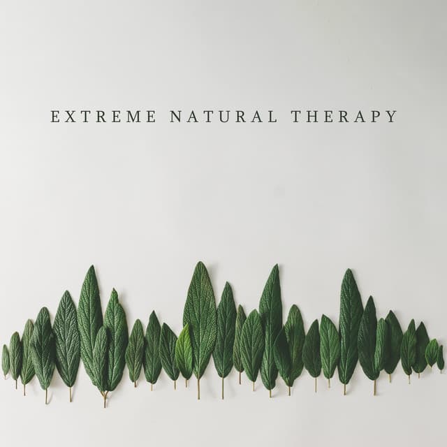 Extreme Natural Therapy: Forest Sounds, Water Purification, Wind Reflection - Nature Sounds Paradise