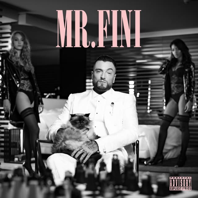 Mr. Fini - Guè