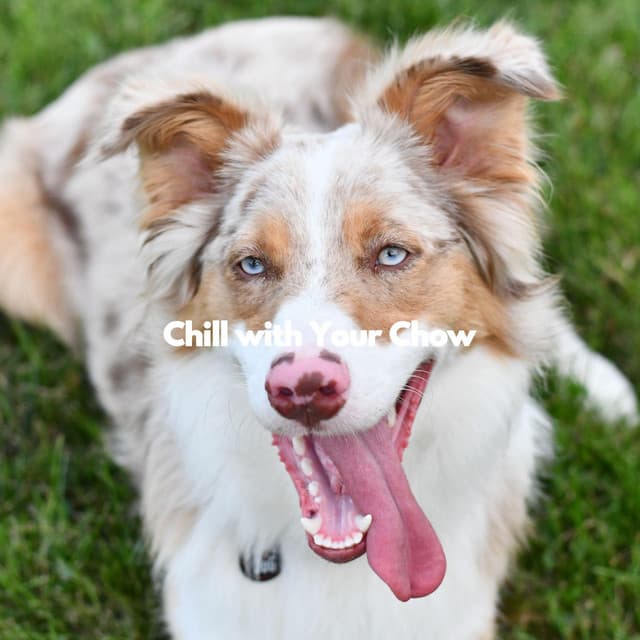 Chill with Your Chow - Dog Music Hour