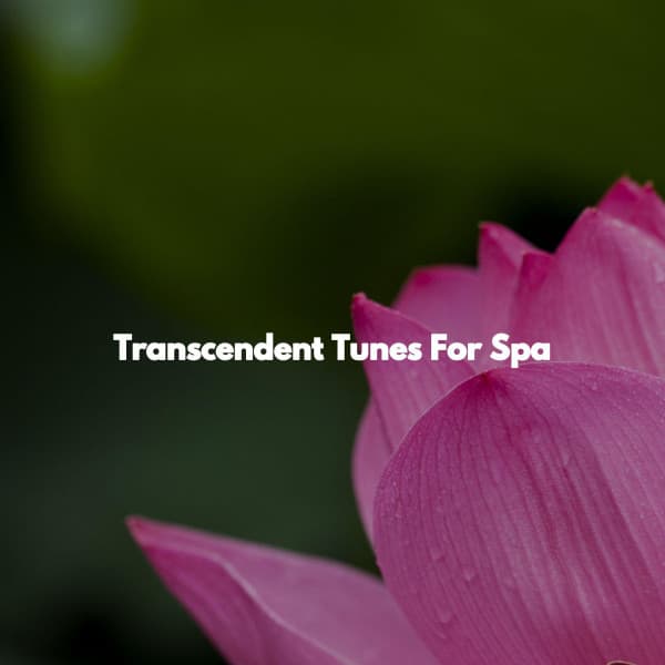 Transcendent Tunes For Spa - Música para Descansar