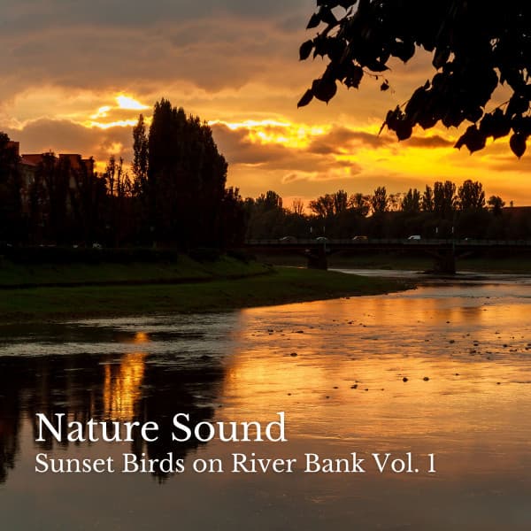 Nature Sound: Sunset Birds on River Bank Vol. 1 - Relaxing Spa Music