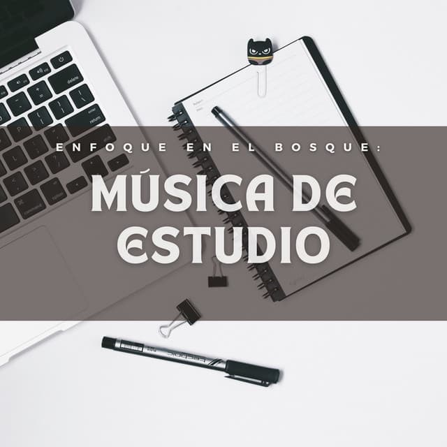 Enfoque En El Bosque: Música De Estudio - Sonidos Del Bosque