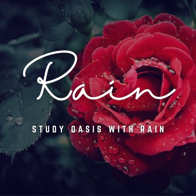Rain's Concentration Oasis: Nature's Study Symphony - Exclusive Nature