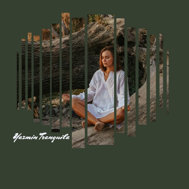 Quietud Aterciopelada - Yazmin Tranquila