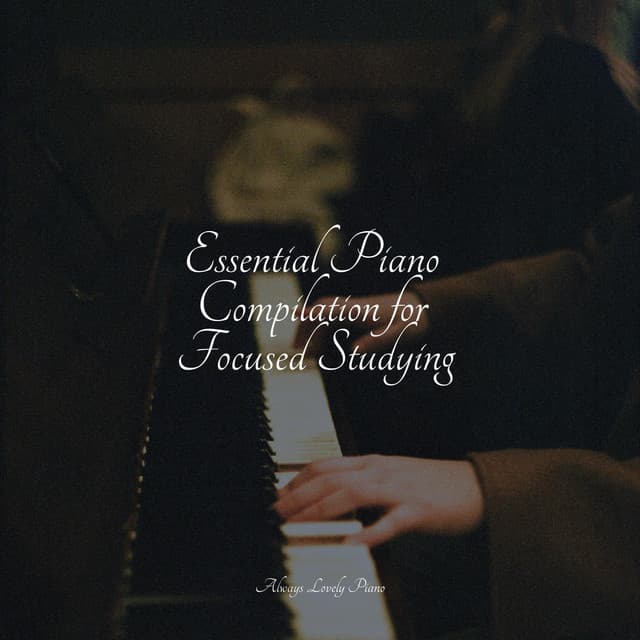 Essential Piano Compilation for Focused Studying - Concentrate with Classical Piano