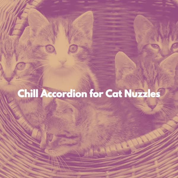 Chill Accordion for Cat Nuzzles - Lunch Time Music