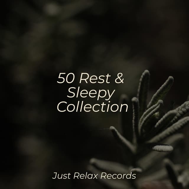 50 Rest & Sleepy Collection - Soothing Sounds