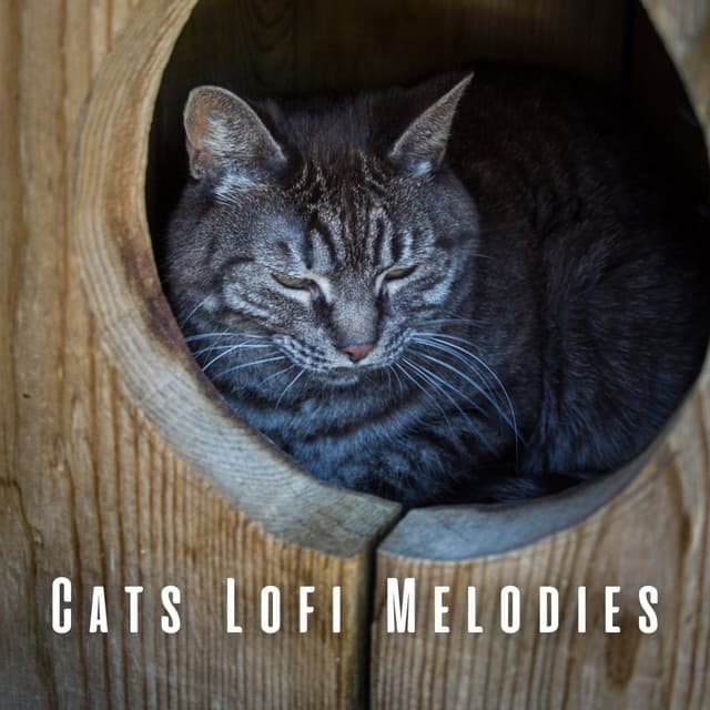 Cats Lofi Melodies: Ambient Sounds for Feline Bliss - The Lofi King