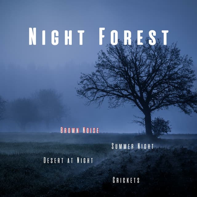 Night Forest, Crickets, Summer Night, Desert at Night, Brown Noise, Loopable - Night Sounds