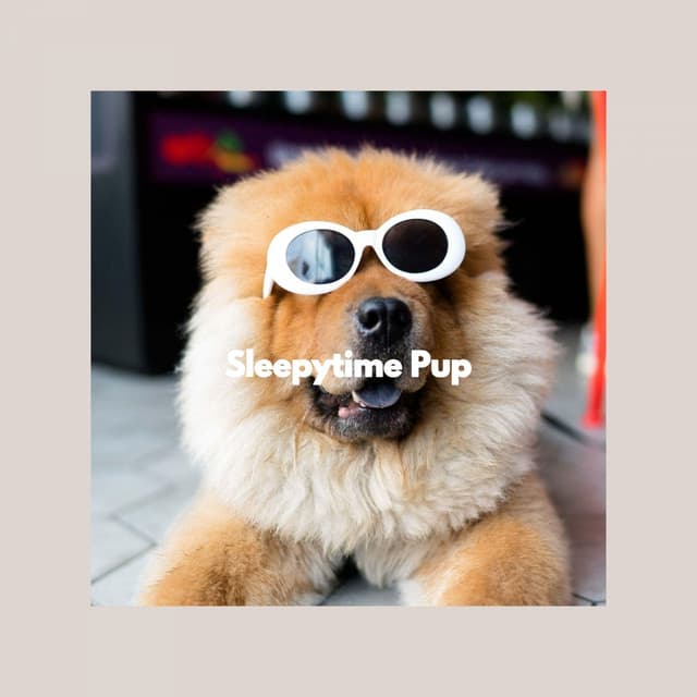Sleepytime Pup - Music for Leaving Dogs Home Alone
