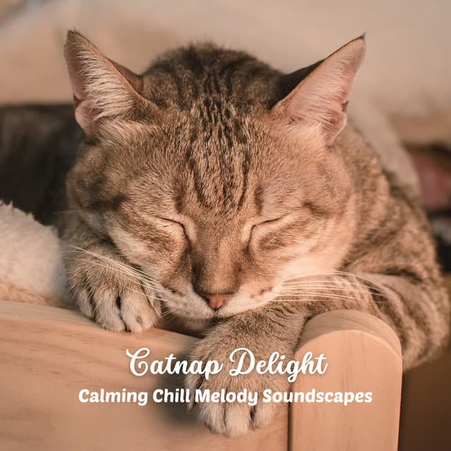 Catnap Delight: Calming Chill Melody Soundscapes - Happy Chillout Playlist