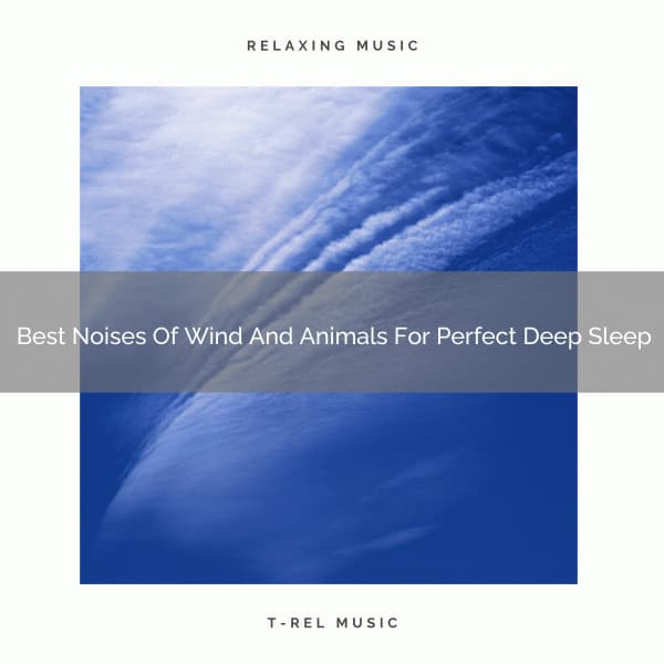Best Noises Of Wind And Animals For Perfect Deep Sleep - Dreamy White Noise