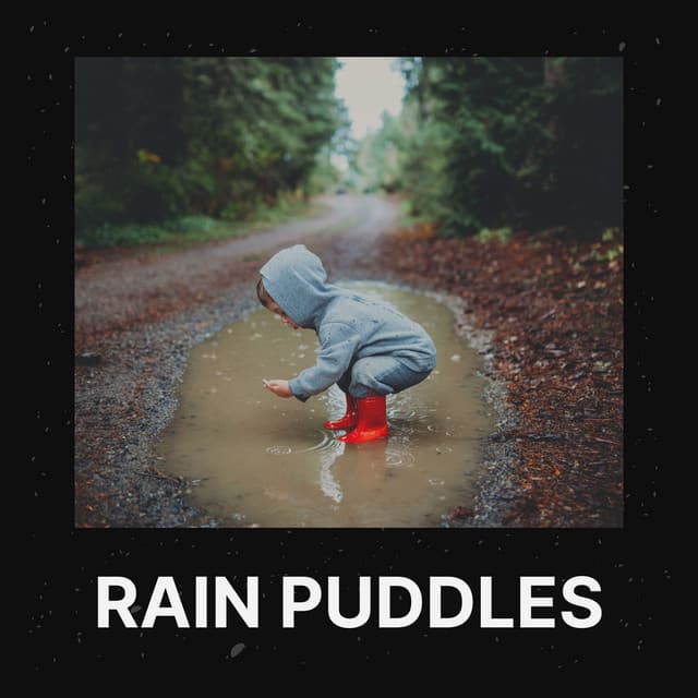 Rain Puddles - Rain for Sleep