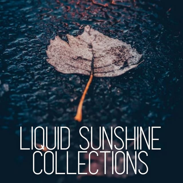Liquid Sunshine Collections - Nature's Noise