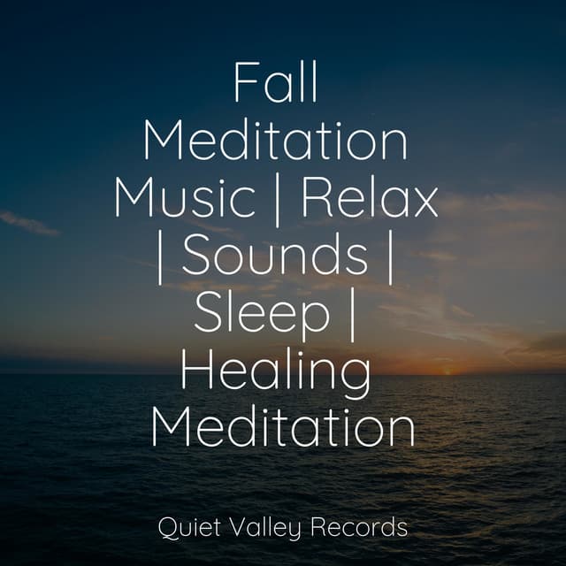 Fall Meditation Music | Relax | Sounds | Sleep | Healing Meditation - Sons da Natureza Relax