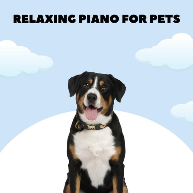 Doggy Lullabies - Relaxing Piano For Pets