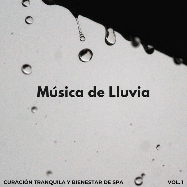Música De Lluvia: Curación Tranquila Y Bienestar De Spa Vol. 1 - El sonido de la lluvia