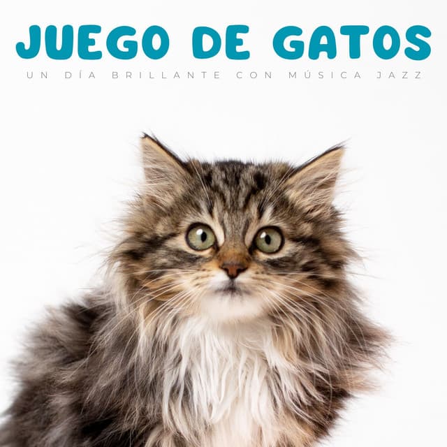 Juego De Gatos: Un Día Brillante Con Música Jazz - Increíble Chill Out Jazz Paraíso