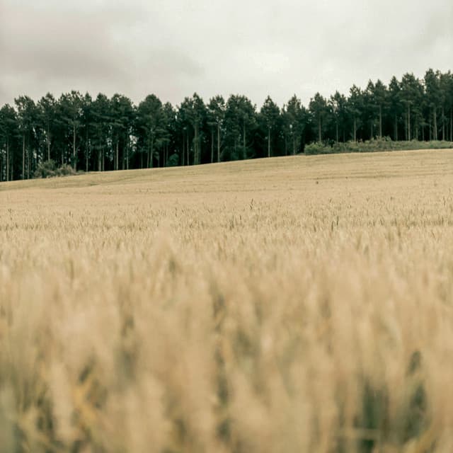 365 Zen: Forever You - between waves