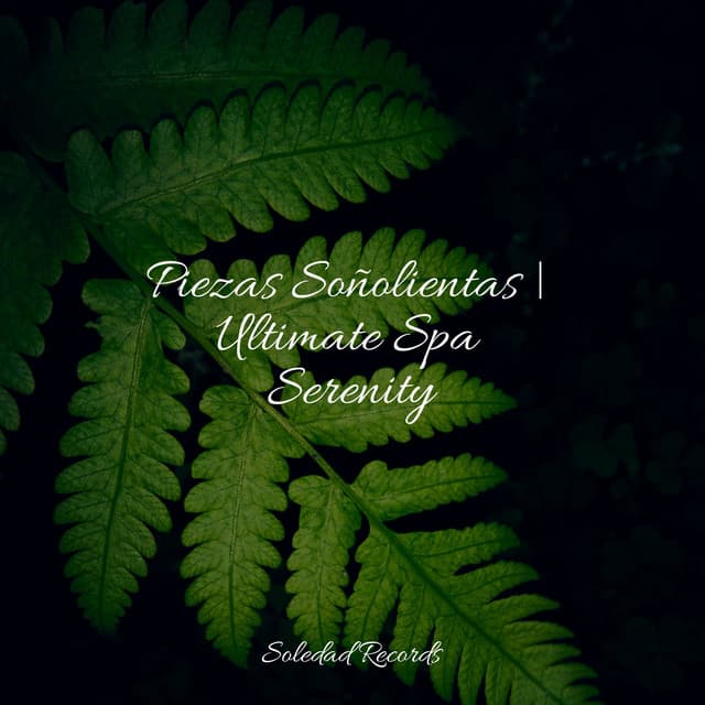 Piezas Soñolientas | Ultimate Spa Serenity - Massagem Música