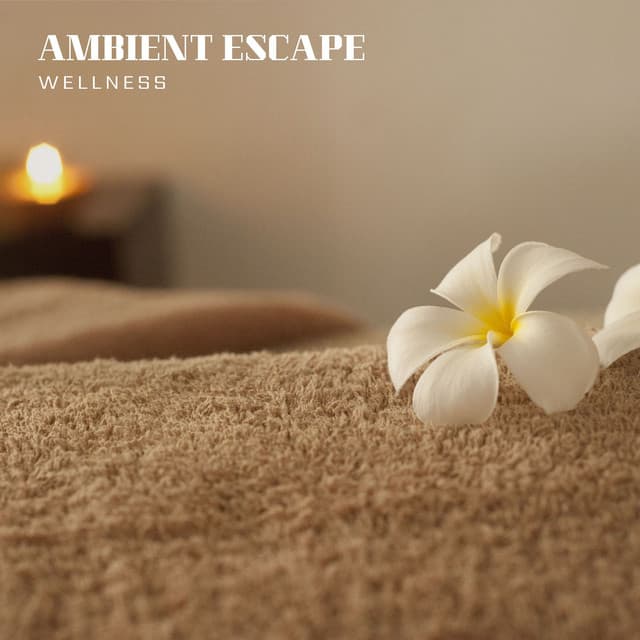 Ambient Escape: Massage Therapy Music - Wellness