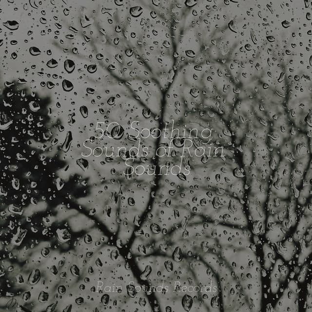 50 Soothing Sounds of Rain Sounds - Relaxing Rain Sounds