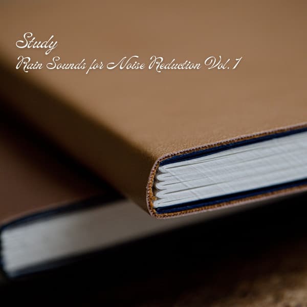 Study: Rain Sounds for Noise Reduction Vol. 1 - Reading and Studying Music